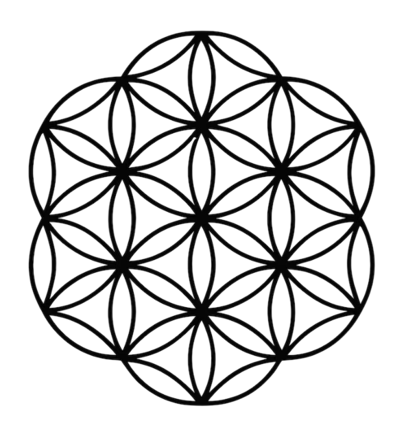 Yaşam Çiçeği (Flower of Life): Kutsal Geometri ve Evrenin Yaradılış Kodu
